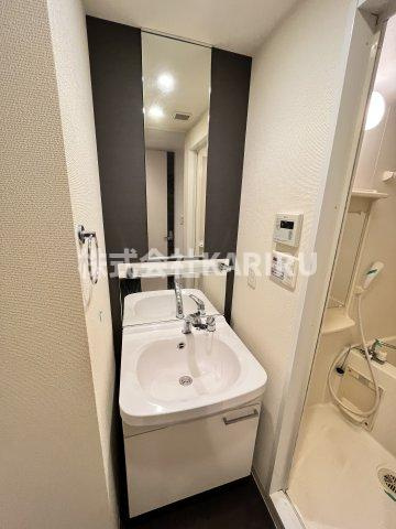 プレサンス大阪城公園ファーストシートの洗面所