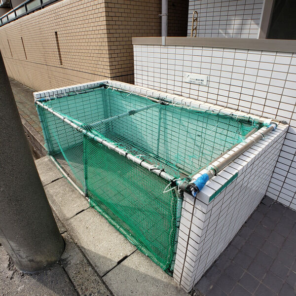 マンション菜の花5のその他共用部分