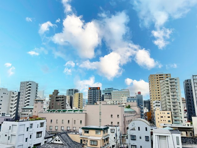 ルジェンテ・リベル上野稲荷町の洋室|居室からの眺望