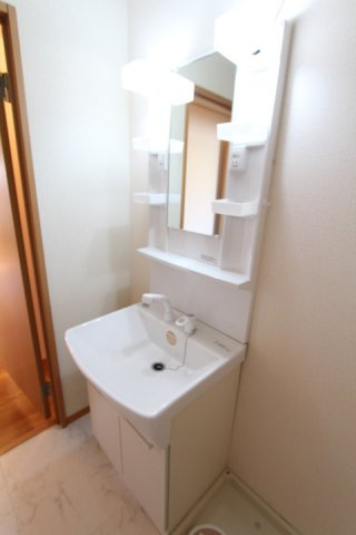 セジュール堂田の洗面所