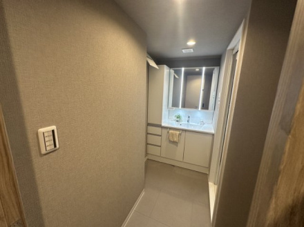 セレナハイムパークステージ桶川の独立洗面台|朝の身支度には欠かせない独立洗面化粧台