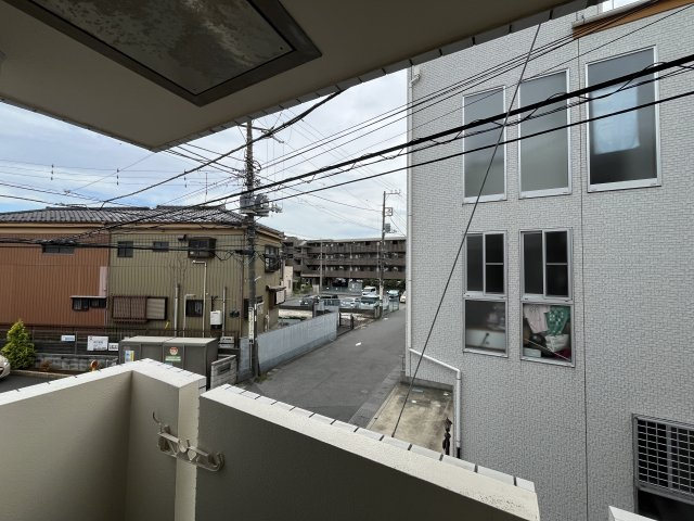 アベニュー林の展望