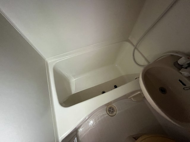 アベニュー林の浴室