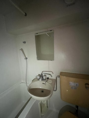 アベニュー林の浴室