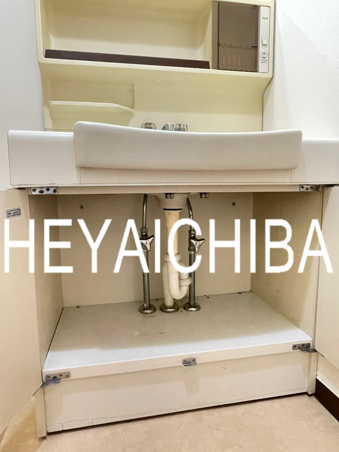 上野ロイヤルハイツの洗面所|下部収納