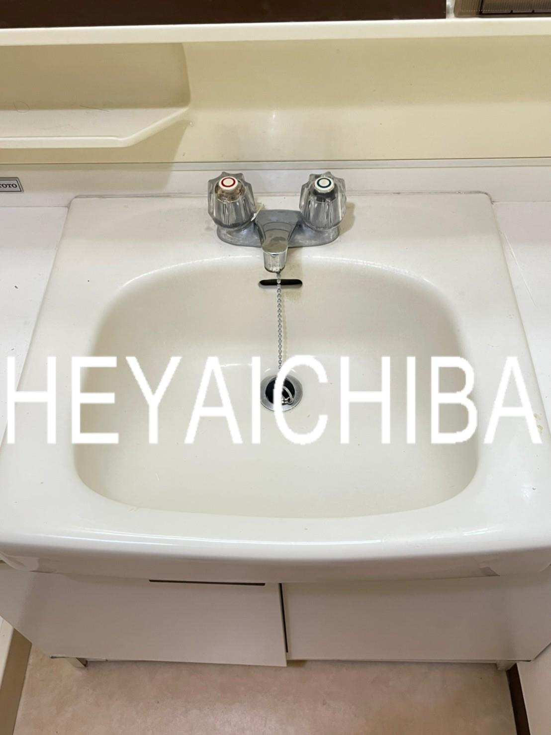 上野ロイヤルハイツの洗面所