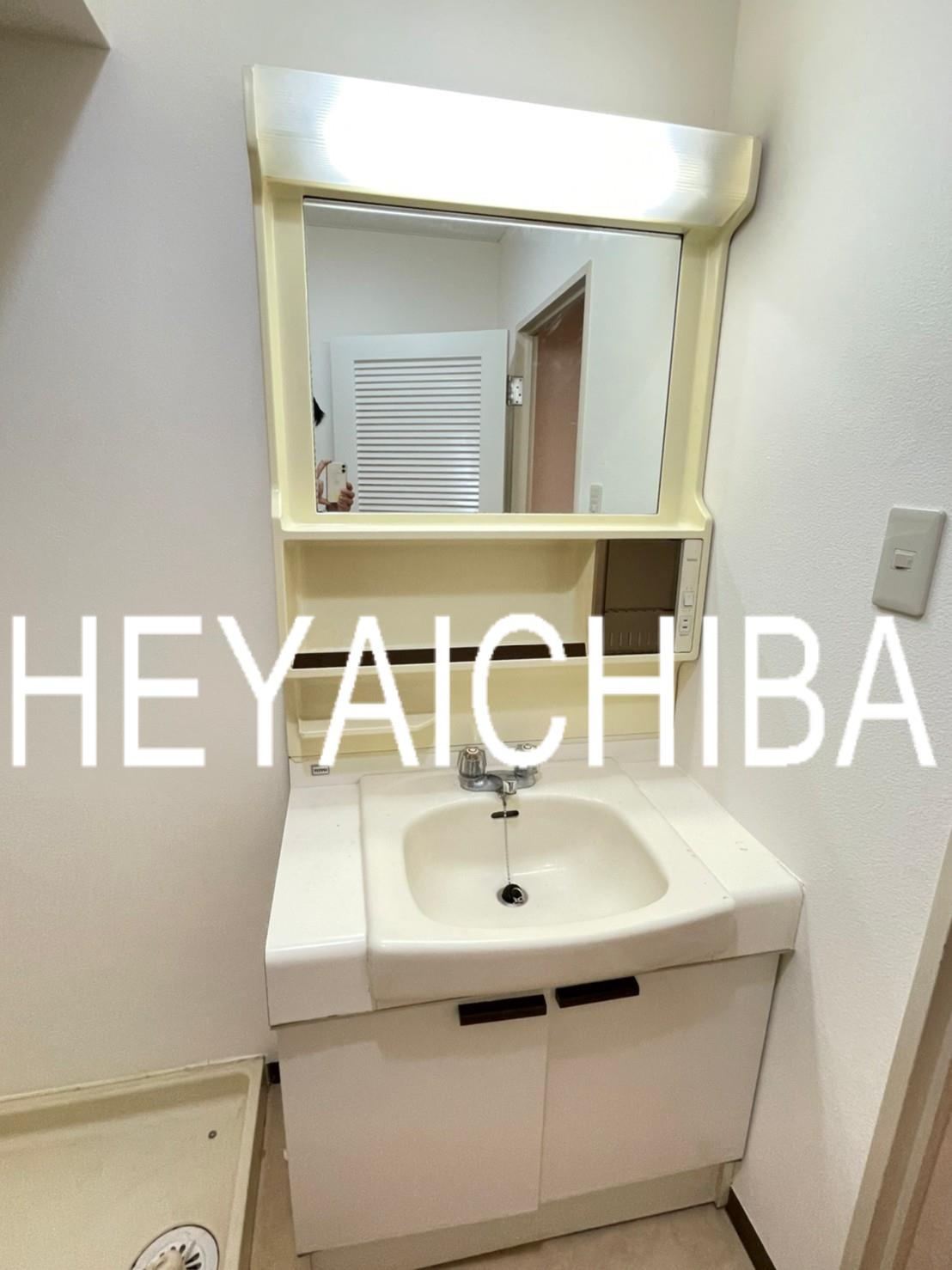 上野ロイヤルハイツの洗面所