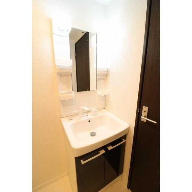 ルミエール横浜の洗面所