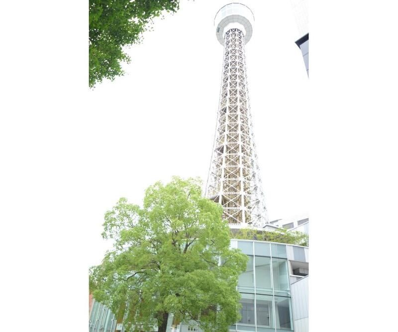 グランブリエ横濱山下公園３０２のその他