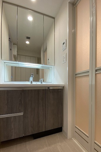 プレサンスブルーム浅草Northの洗面所