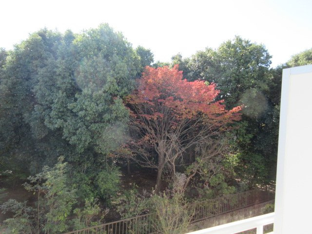 保谷コーポの展望