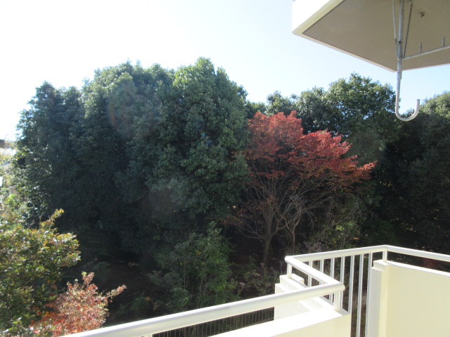 保谷コーポの展望