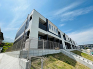 エタンセルの画像