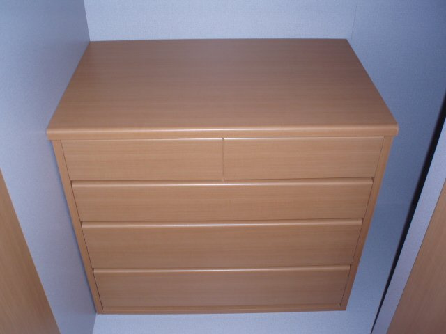 リバティ　ミユウⅠの収納|クローゼット内引出