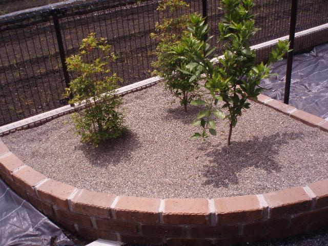 エバーエデンＣのその他|蜜柑の木