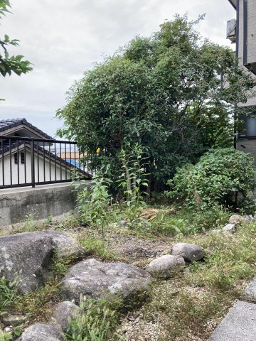 クリエート美祥Ⅱの庭