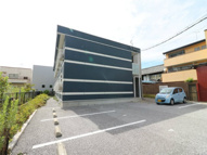 レオネクストココペリの画像