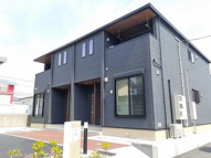 グレイスワンの画像