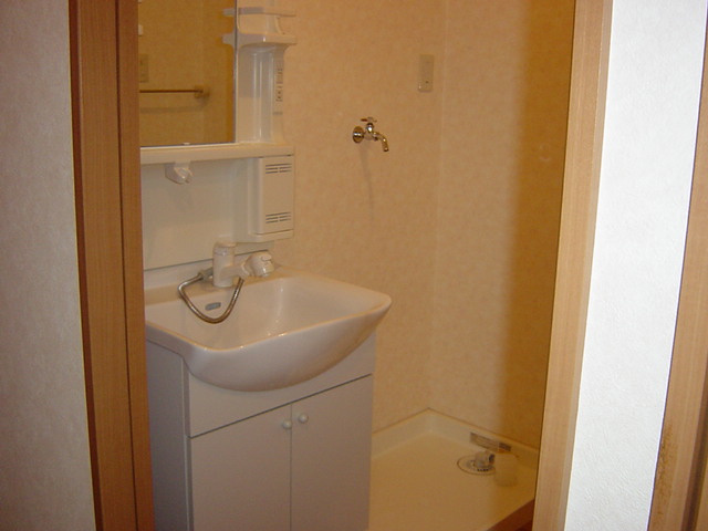 スカイハイツ野田の洗面所|洗面