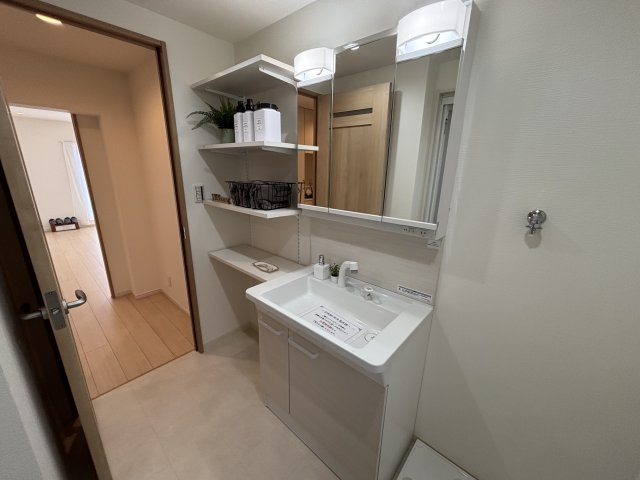 シャワー付きの三面鏡洗面台です