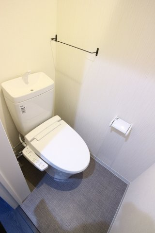 グルーブメゾン歌敷山のトイレ