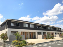 レピナールＦの画像