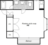 パインシュートの画像