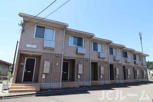 モンステラの外観