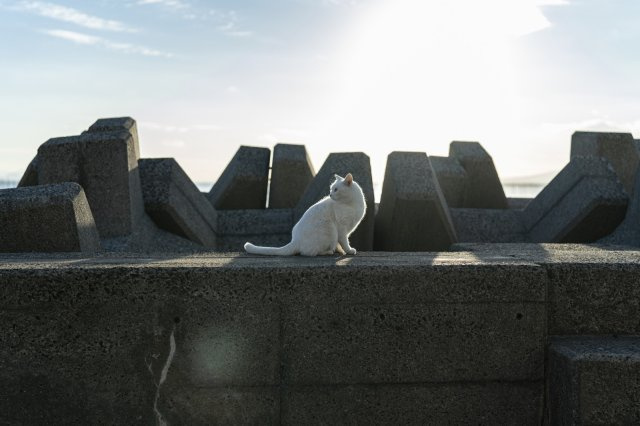 【周辺】 | 西区河内町船津