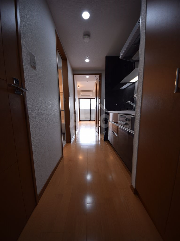 リーガル南船場Ⅲの玄関|リーガル南船場ⅠⅠⅠ　廊下