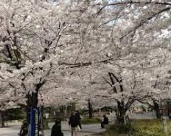 【周辺】 | ライオンズクオーレ東京八丁堀