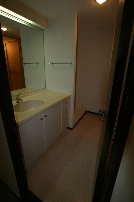 モアクレスト船橋三咲の洗面所