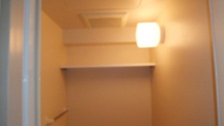 カスタリア西船橋のトイレ|トイレの収納棚