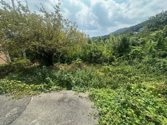 【外観】 | 伊東市川奈　売地