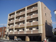 あした葉の画像