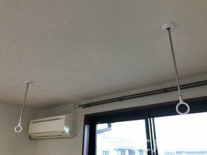 ラフィードのその他