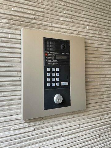 ＳＴＡＹＧＯＬＤ　ＥＧＯＴＡのその他