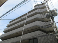 エクセレント上新8の画像