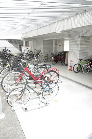 ビビエビスのその他