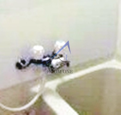 リスレーヌ蔵前