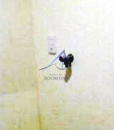 リスレーヌ蔵前