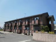 ピノ コラの画像