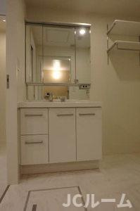 マストテラス上越春日野Aの洗面所