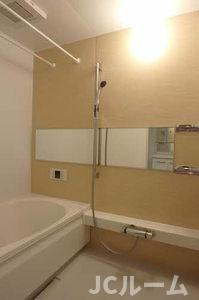 マストテラス上越春日野Aの浴室