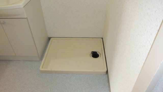 市川グリーンタウン鈴の洗面所|洗面所に室内洗濯機置場ございます