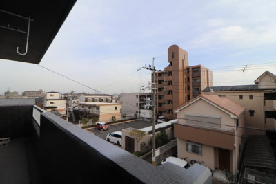 【展望】 | シャンテコウノキ