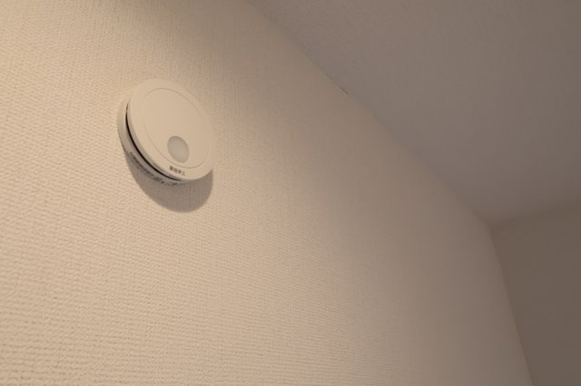 《仲介手数料無料》見沼区深作５丁目117(1号棟)新築一戸建てグラファーレのその他|撮影日 2025年11月4日 15:15 晴れ