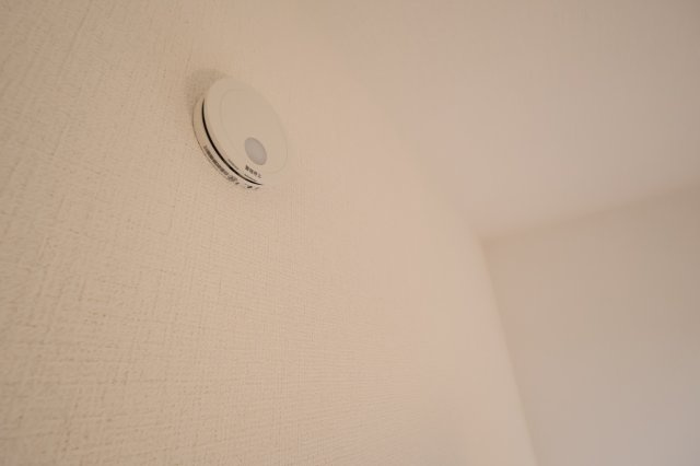 《仲介手数料無料》見沼区深作５丁目117(2号棟)新築一戸建てグラファーレのその他|撮影日 2025年11月4日 15:15 晴れ