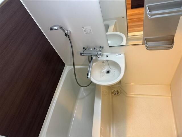 ハーモニーレジデンス文京白山の洗面所