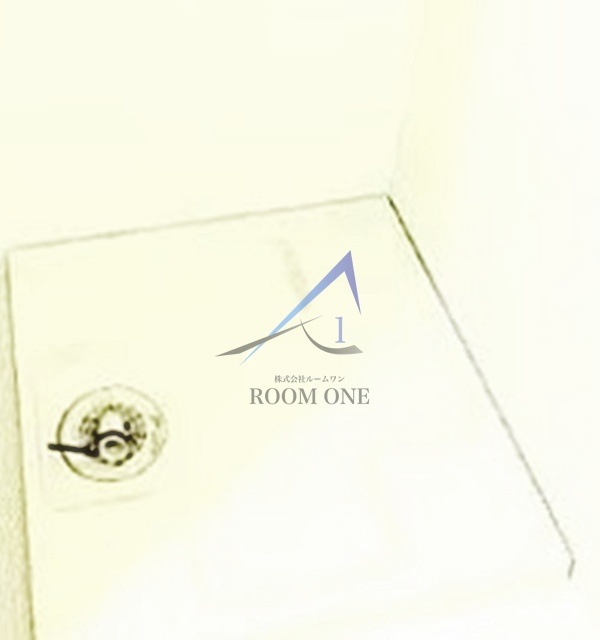 リーノ新宿若松町の設備|洗濯機置き場です。